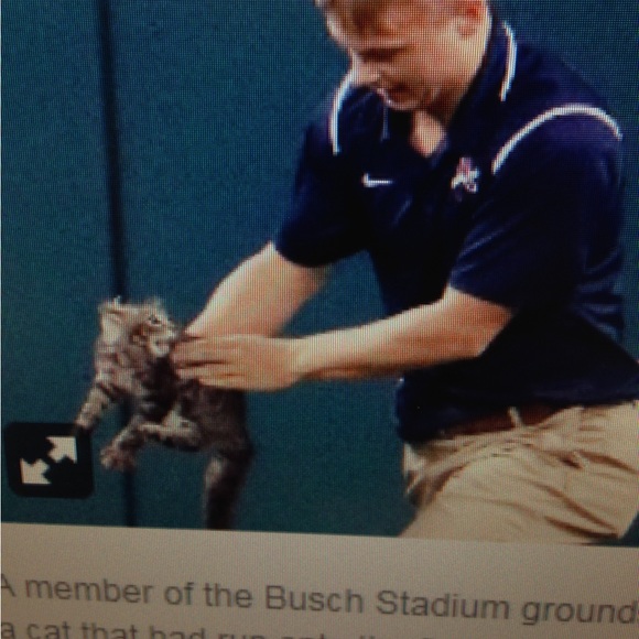 108 Stitches St. Louis Cardinals Rally Cat T-shirt Small - Picture 6 of 7